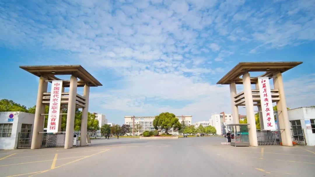 未畢業(yè)就定崗，一畢業(yè)就任教大學(xué)&hellip;&hellip;這所職校的學(xué)生緣何這么牛？