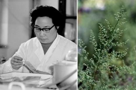 3000萬(wàn)病例歸零&mdash;&mdash;中國(guó)獲世衛(wèi)組織&ldquo;無(wú)瘧疾國(guó)家&rdquo;認(rèn)證 全球抗瘧形勢(shì)依然嚴(yán)峻