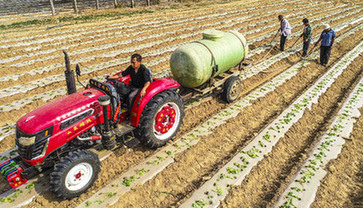 撂荒地長(zhǎng)出&ldquo;萬元田&rdquo;