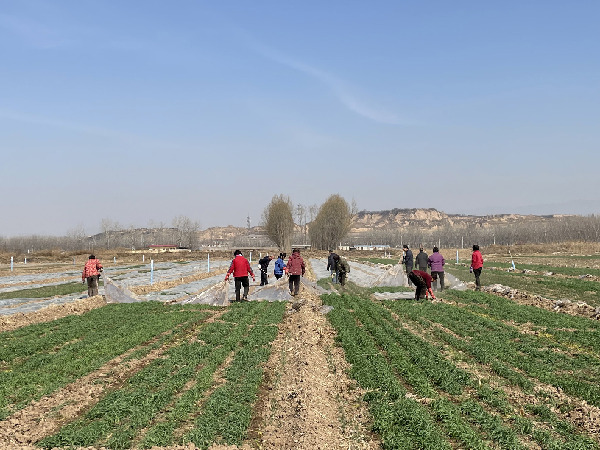 農(nóng)業(yè)保險(xiǎn)高質(zhì)量發(fā)展尚需突破&ldquo;三重門&rdquo;