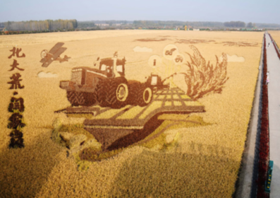 讓每一寸土地充滿(mǎn)希望&mdash;&mdash;北大荒繪就智慧秋收?qǐng)D景