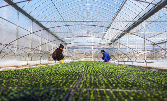 資本進村防&ldquo;嗆水&rdquo;　農(nóng)民利益需保障