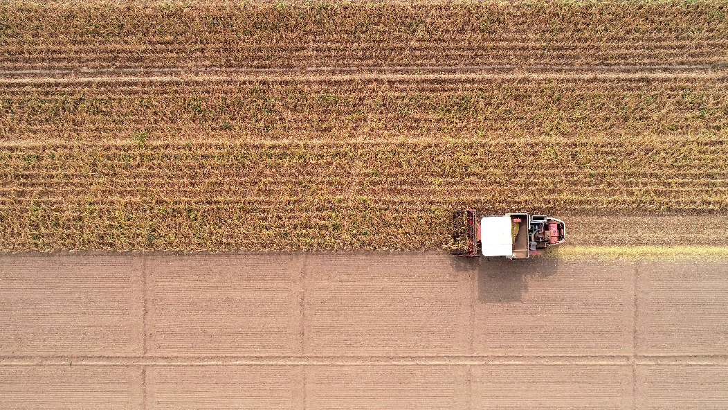 小糧庫(kù)大&ldquo;蠹蟲&rdquo;：糧食購(gòu)銷貪腐為何頻頻得手？