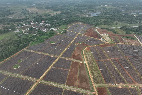 　海南礦山修復(fù)讓廢礦&ldquo;生金&rdquo;