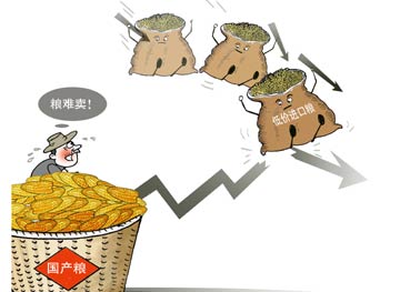 &ldquo;三高&rdquo;重壓拷問中國(guó)糧食安全