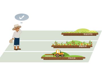 套補貼、無運作&ldquo;空殼合作社&rdquo;頻現(xiàn)