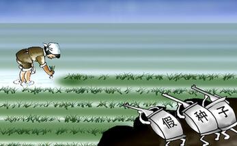 由明轉(zhuǎn)暗　假劣種子打起&ldquo;游擊戰(zhàn)&rdquo;