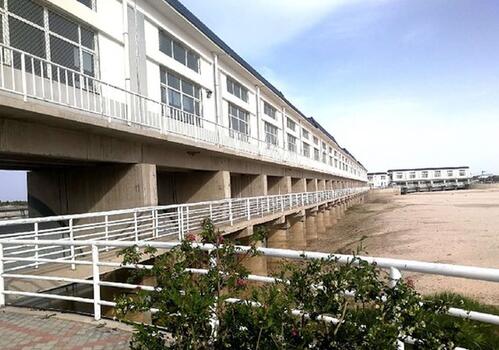 層層攔蓄截?cái)唷∵|河只剩&ldquo;半條命&rdquo;