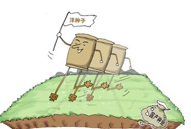 國(guó)產(chǎn)種業(yè)緣何難育創(chuàng)新&ldquo;種&rdquo;