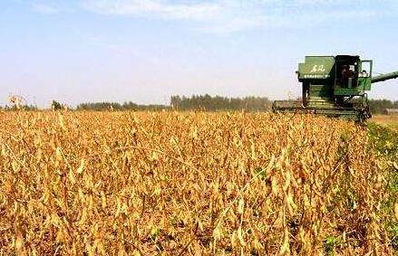 &ldquo;擴(kuò)面提產(chǎn)增效&rdquo;　國(guó)產(chǎn)大豆迎振興