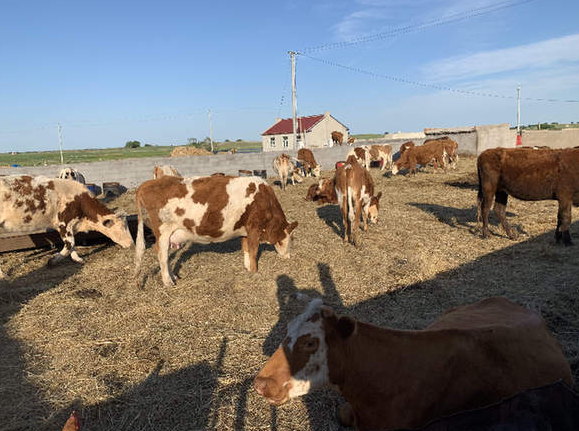 &ldquo;新調(diào)整&rdquo;能否終結(jié)自然保護區(qū)亂象？