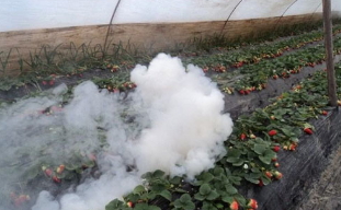 沿用近50年的傳統(tǒng)引火線咋就突然成了爆炸物？