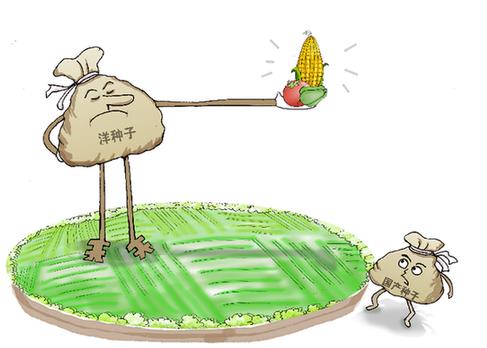 天價(jià)&ldquo;洋種子&rdquo;背后的種業(yè)之痛