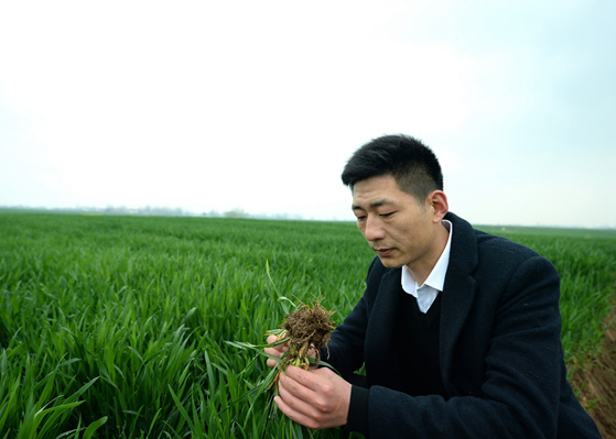 &ldquo;90后&rdquo;逆流回村成了&ldquo;當家人&rdquo;